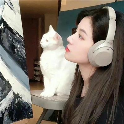 疯之状态海报